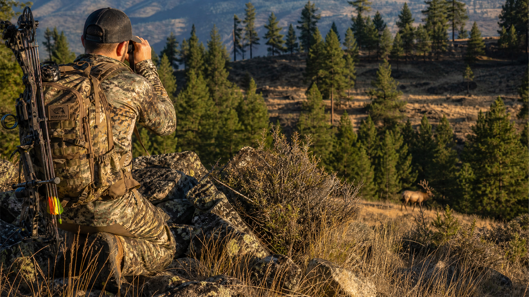 Oregon's Ochocos Unit Archery Elk: DIY Tactics for Public Land Bulls in the Ochoco National Forest