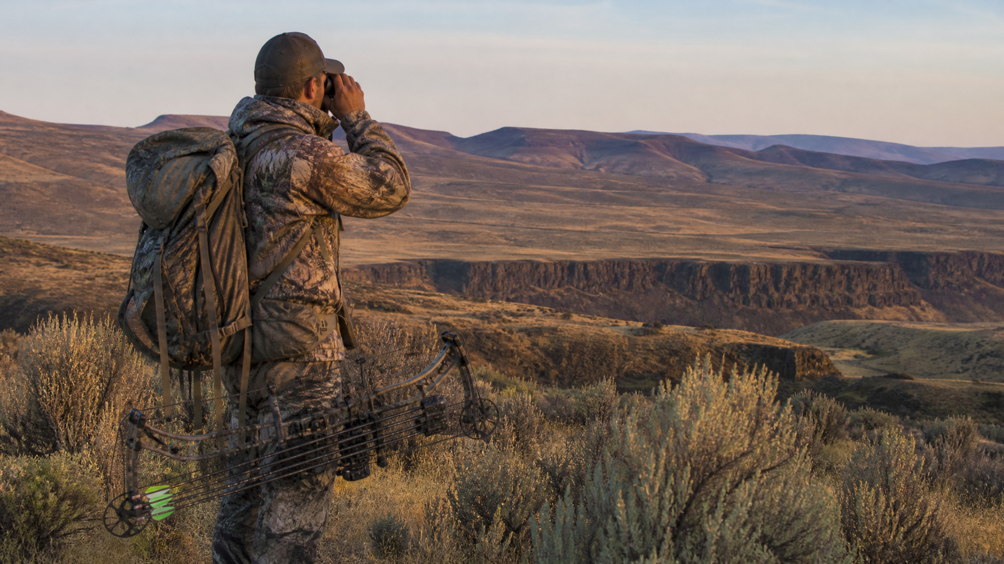 Archery Mule Deer on Oregon's Biggs Unit: Columbia Basin Sagebrush Bucks