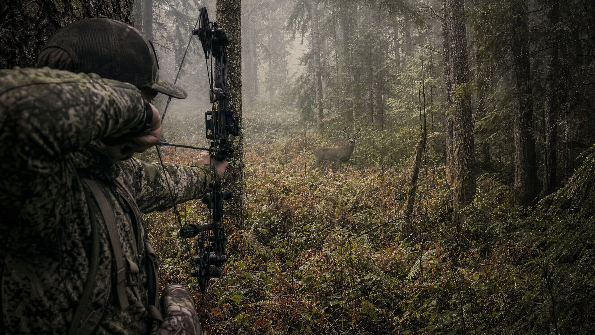 Oregon Coast Range Archery Blacktail: October Hunting in Tillamook State Forest