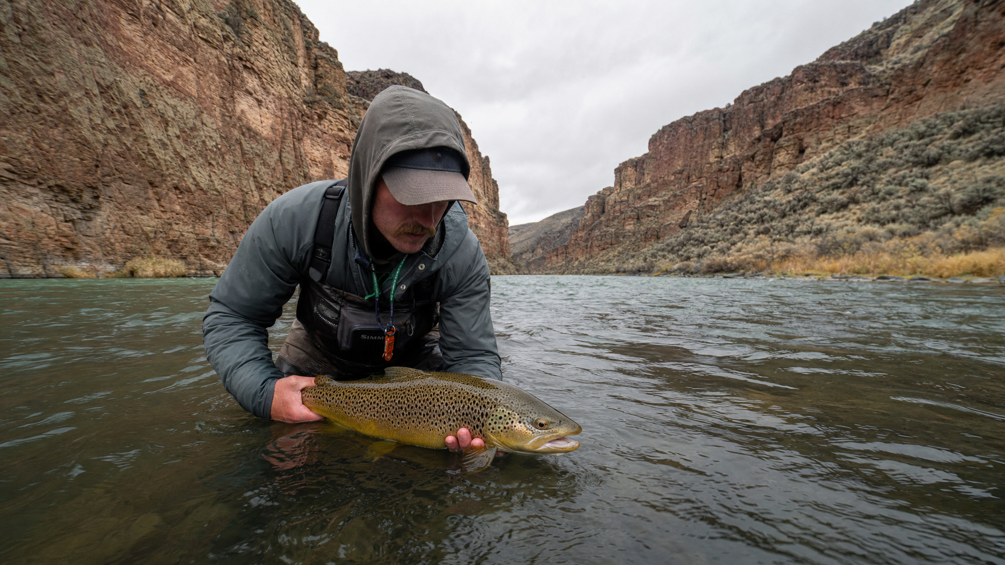 Owyhee River Fall Brown Trout: Tailwater Tactics for Eastern Oregon's Remote Desert Canyon